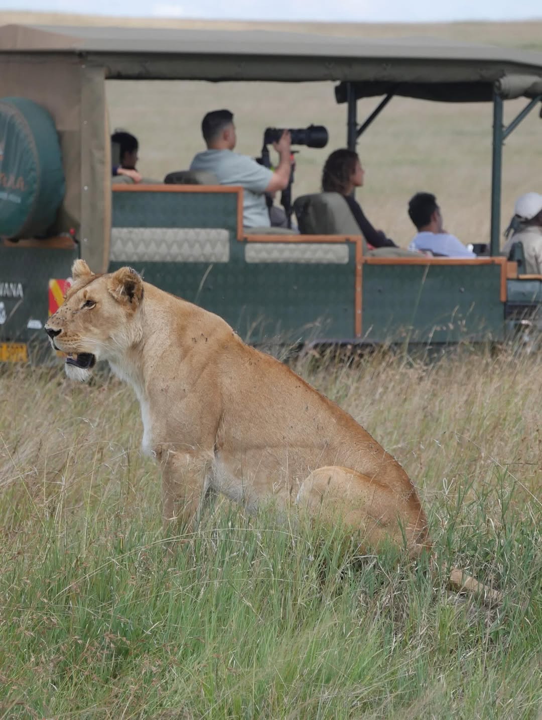 Kenya safari wildlife viewing